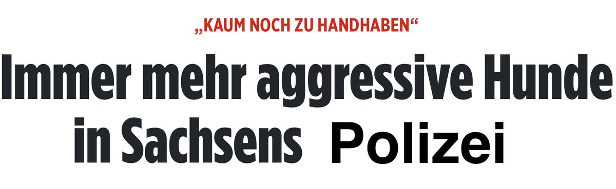 ToralfTorben's tweet photo. #Sachsen #Polizeiproblem #le0708 #Connewitz https://t.co/kn5Iv2JHzD
