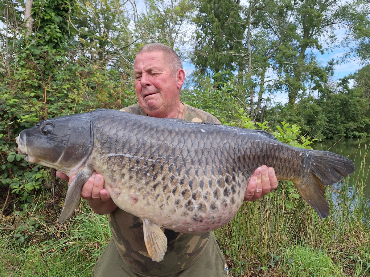 ccmoore_baits's tweet photo. Somerley character to Dave
Dave Watkins with a proper old character common from the renowned 90s Ringwood ‘circuit water’. The easily recognisable 32+ common falling, with others, to Pro-Stim Liver on test.
.
It’s coming ;-)
.
.
.
#ccmoore #newbait #prostim #mooremeansmore https://t.co/MbpfAhsYnT