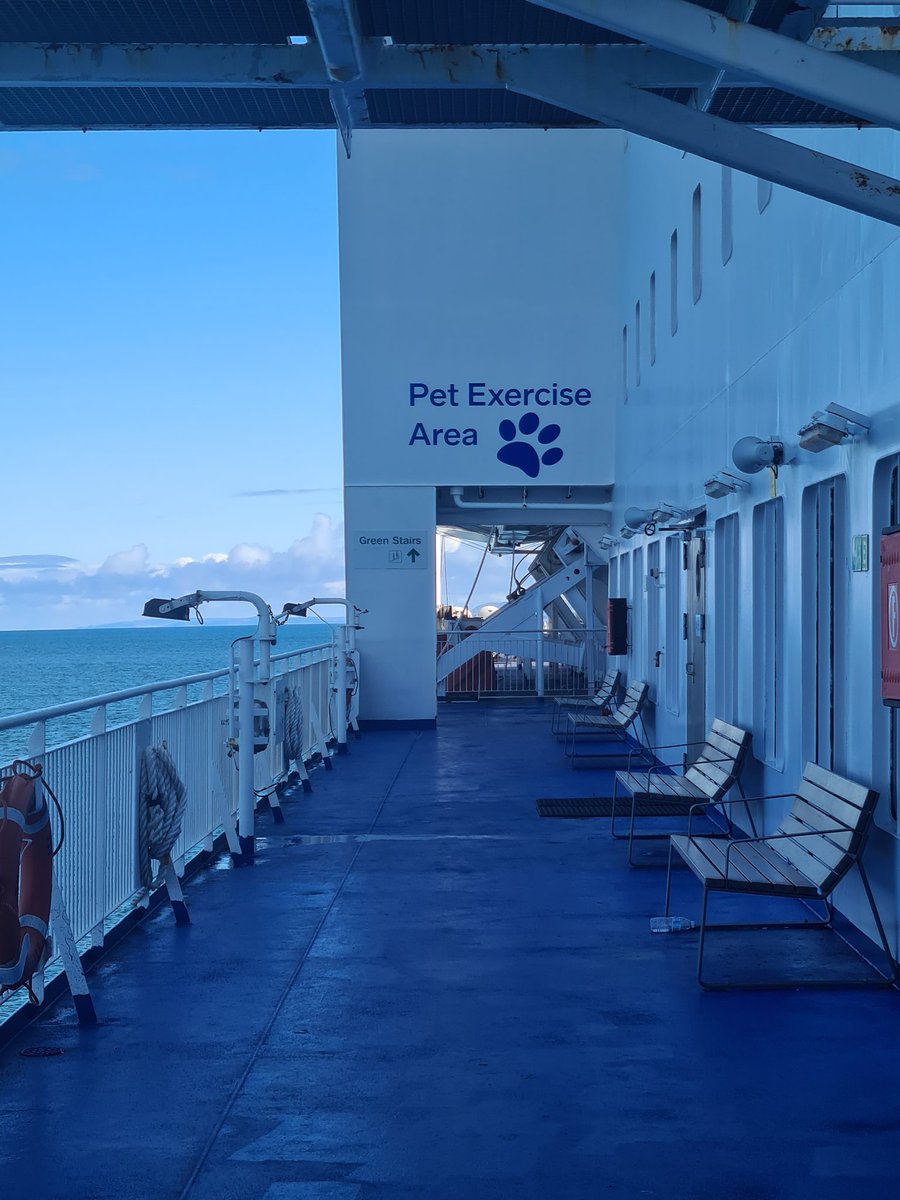 VirtuAli tweet media