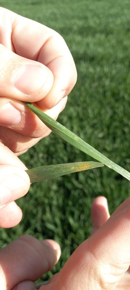 Empezó el baile en zona norte de BA