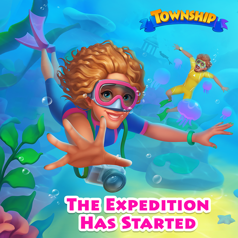 Township tweet media