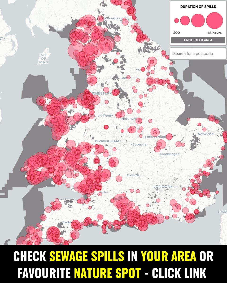 Greenpeace UK tweet media