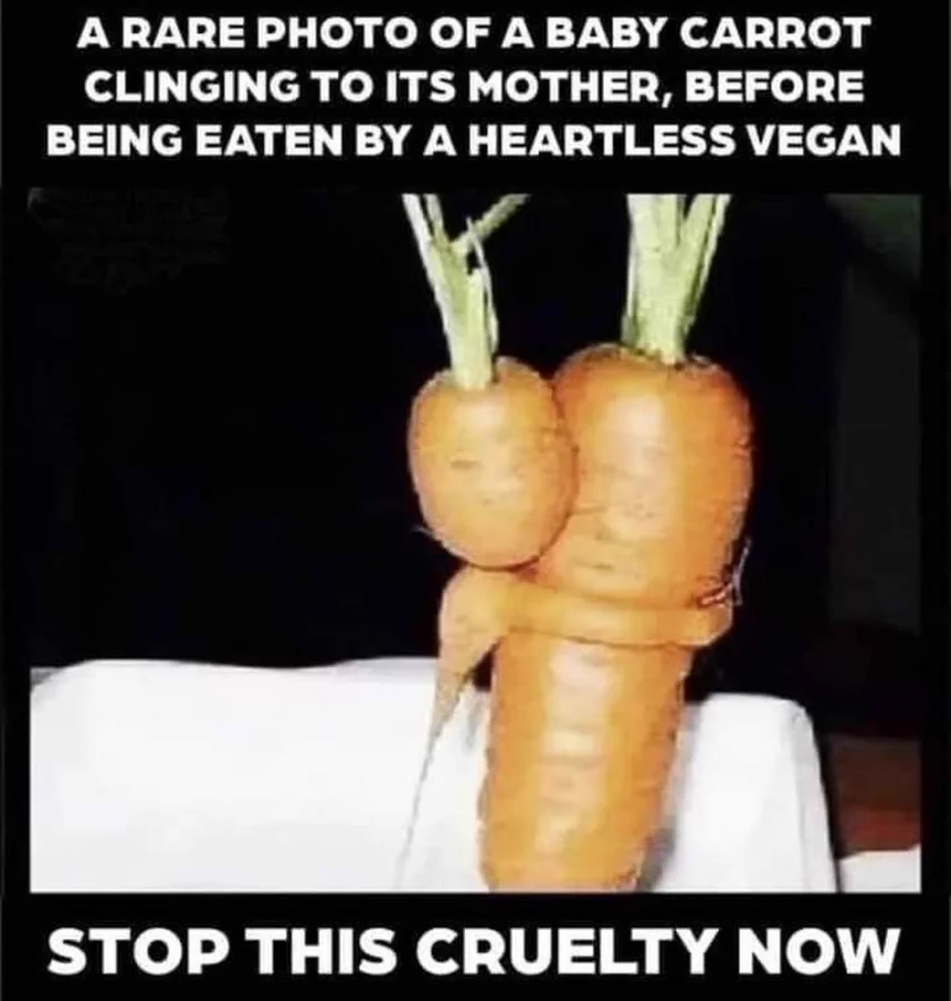GlenFearce1's tweet image. "Adopt Baby Julienne Carrot and give this child a future. Alternatively please give what you can to save this poor family from the fate that awaits them. Thank you." 
#SaveTheCarrots #GiveGenerously