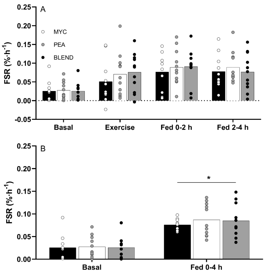DrMyohead's tweet photo. Ingestion of mycoprotein, pea protein and their blend support comparable post-exercise myofibrillar protein synthesis rates in resistance trained individuals

From @_WestSam &amp; @BenjaminTWall et al

https://t.co/2ru9RBj6nq https://t.co/Q05XiNb4us