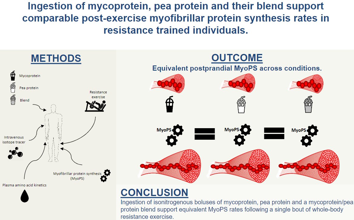 DrMyohead's tweet photo. Ingestion of mycoprotein, pea protein and their blend support comparable post-exercise myofibrillar protein synthesis rates in resistance trained individuals

From @_WestSam &amp; @BenjaminTWall et al

https://t.co/2ru9RBj6nq https://t.co/Q05XiNb4us