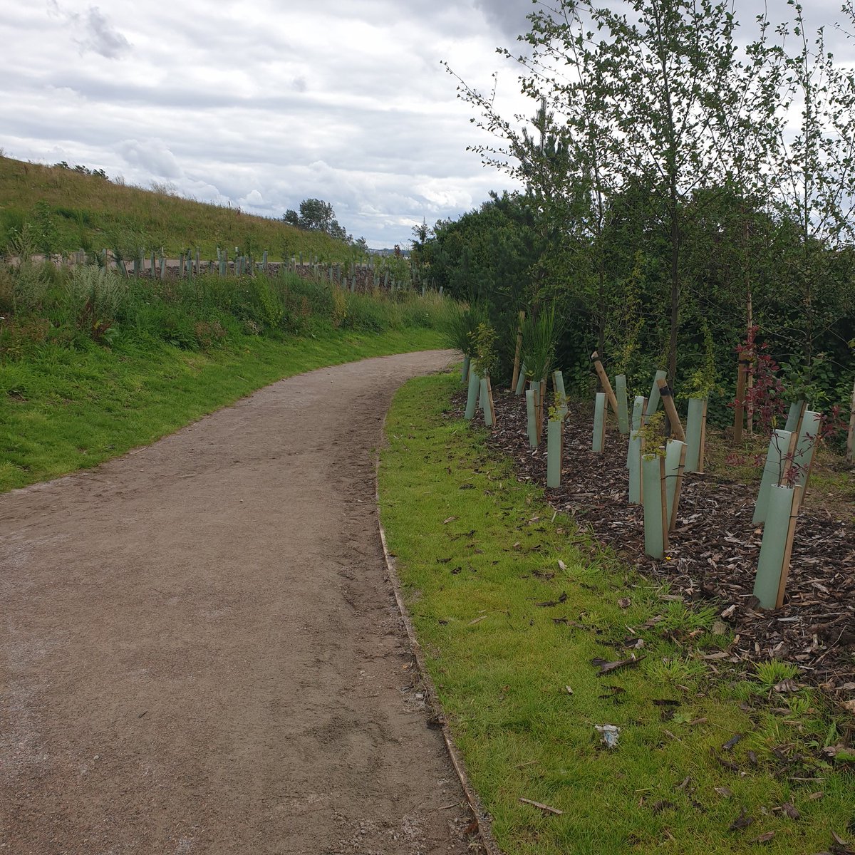 Just walked through  #SouthernGrasslands what was  #FestivalGardena to Otterspool Prom. Just trying to remember how it used to look with the old entrance & dragon slide! I hope someone else remembers that slide 🐲

Anyway its great to see this improved 🌳🌲🌾 #ImprovingLiverpool