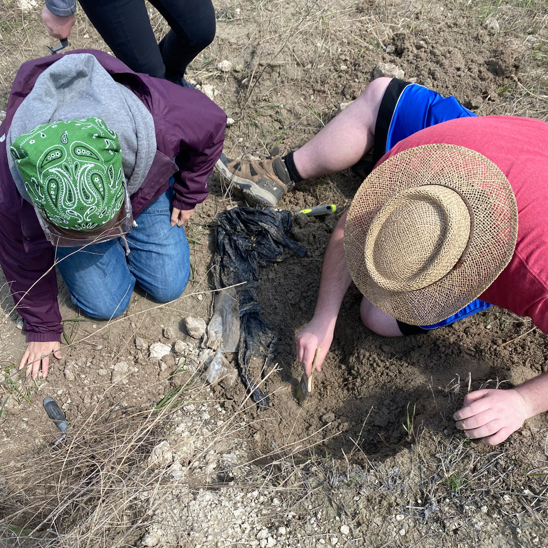 royalsaskmuseum's tweet photo. We are fossil hunting in Grasslands National Park from August 15 to 19. Join us in uncovering the secrets of ancient dinosaurs. Get a hands-on lesson as you accompany our palaeontologists on a day’s dig. Wild scenery, lunch in the badlands are included. https://t.co/vNto709oJt https://t.co/skVnlltVRS