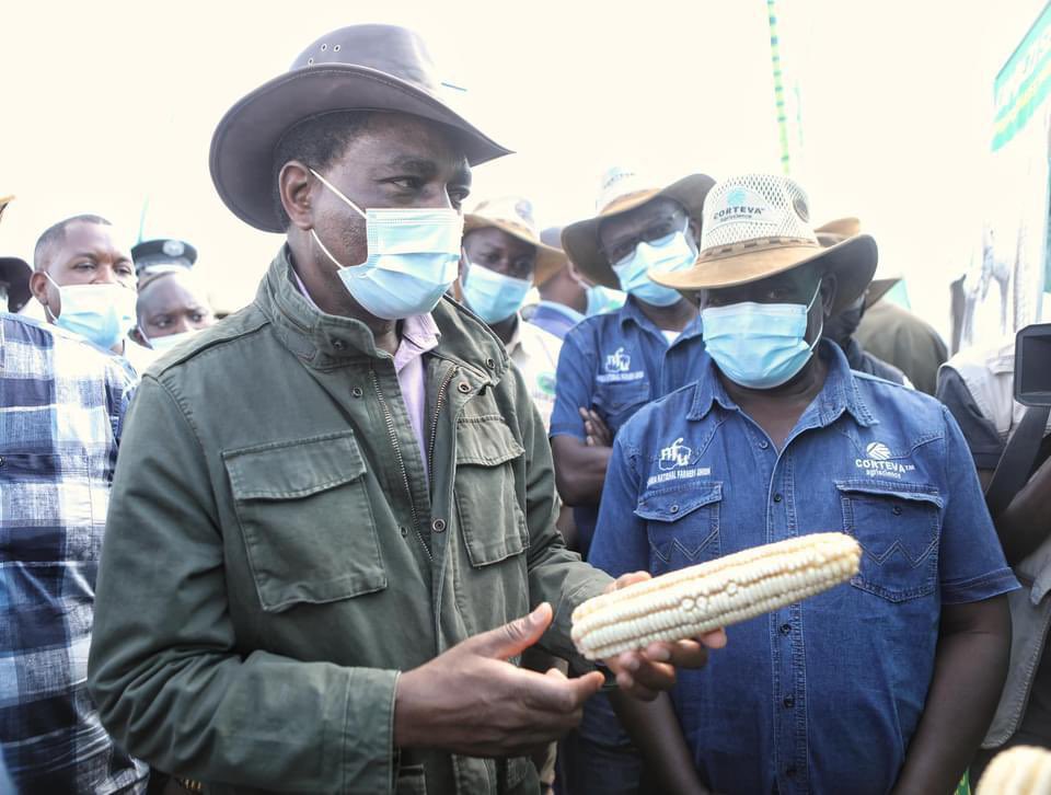 Happy #FarmersDay2023. 
We appreciate farmers’ effort &amp; hardwork in ensuring we have food on the table. That’s why our Govt is doing all possible to promote consistent agric policies &amp; legal frameworks that deliver results in this key sector.🇿🇲 
#FoodSecurity #FarmingIsLife #ACSZ