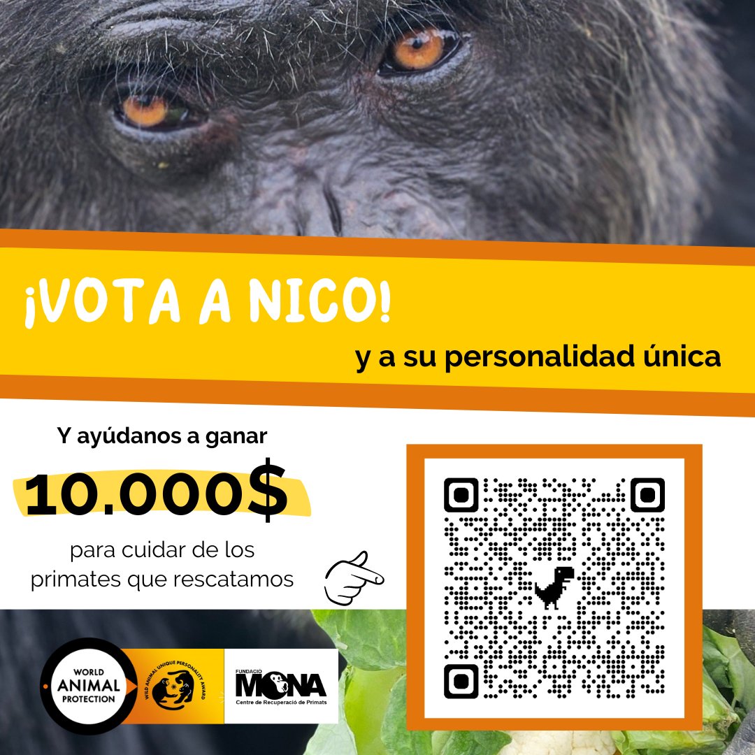 📢 ¡VOTA YA POR NICO! 📢
Y comparte para que otras personas también lo hagan.

worldanimalprotection.org/wild-animal-un…

🧡 Gracias 🧡

<a href="/MoveTheWorld/">World Animal Protection</a> 
#wildlife #animalsentience #changelivesforever