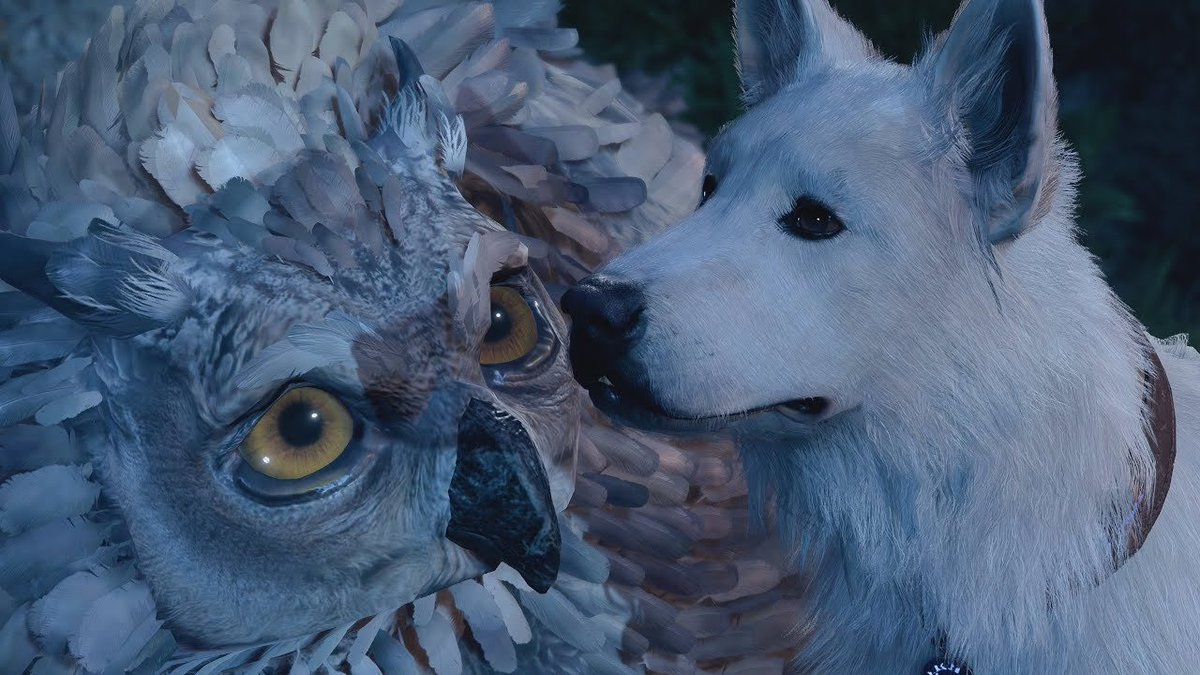 Tom Butler tweet media