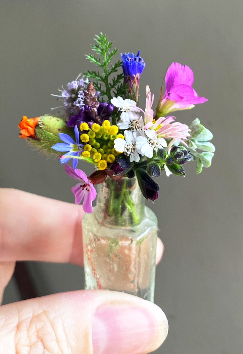 The smallest garden posy I’ve ever made, in the tiniest old bottle…I’m determined to continue to make this place somewhere that offers calm & solace rather than stress & anxiety 🌿