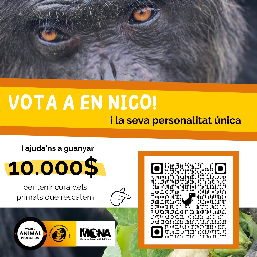 📢 VOTA JA PER EN NICO! 📢
I comparteix perquè altres persones també ho facin.

worldanimalprotection.org/wild-animal-un…

🧡 Gràcies 🧡

<a href="/MoveTheWorld/">World Animal Protection</a>
#wildlife #animalsentience #changelivesforever