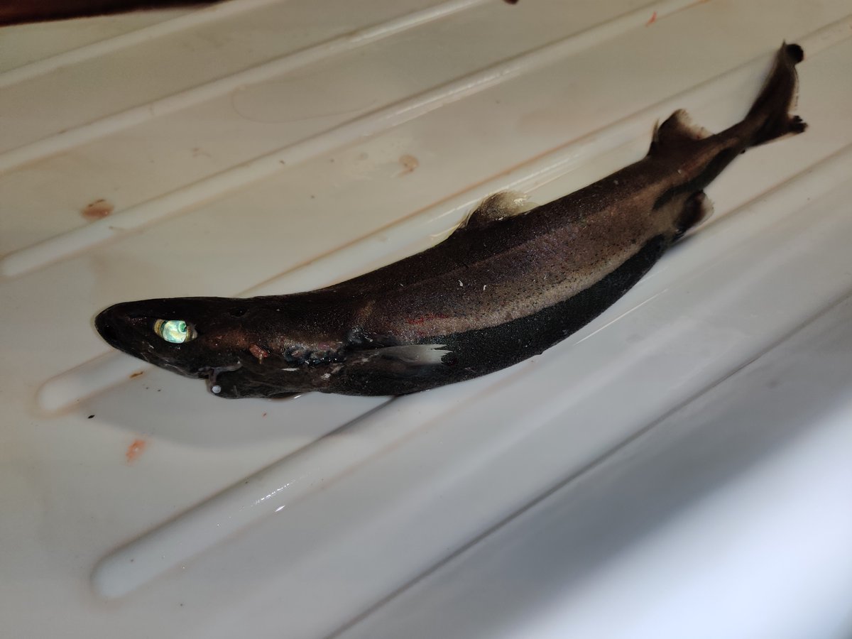 Dr. Côme Denechaud tweet media