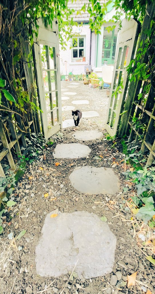 Always wanted a little windy #cottage path to my house. Thanks to my #brother I have one now