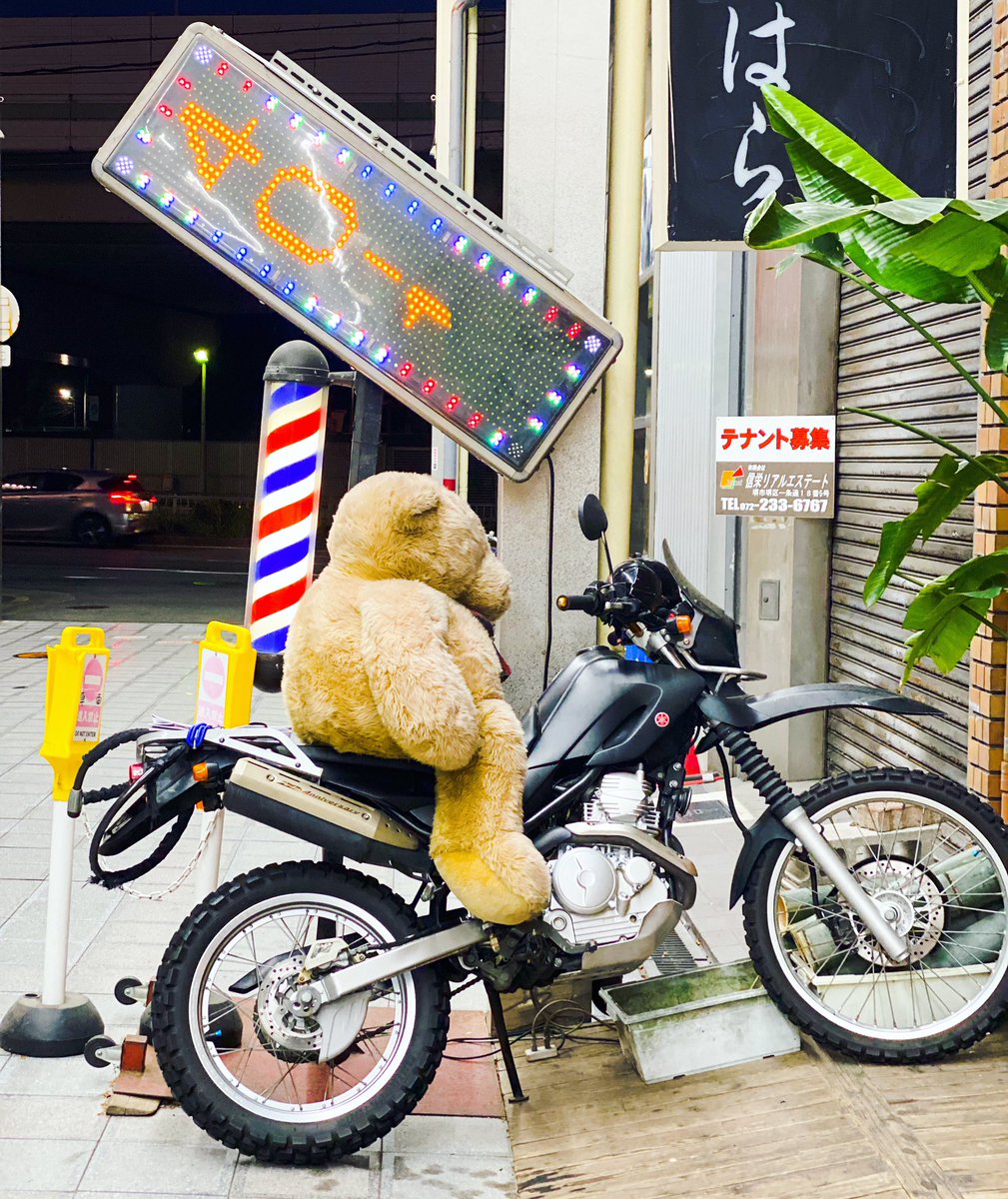 理容店に置いてるバイクにまたがるクマさん。かわいい〜
*
#日本 #アジア #大阪 #商店街 #イラスト #可愛い #理容店イラスト #クマさん #ぬいぐるみ #散歩 #旅行好き #カメラ #旅人 #一眼レフ #japan #osaka #photo #travel  #nippon #Osakaphoto #Osakatrip #visitOsaka #loveOsaka #sakaicity