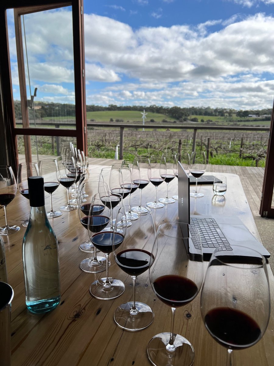Writing up my visit to Jim Barry wines and marvelling all over again at the view from the tasting table. #clarevalley #wineaustralia #jimbarry