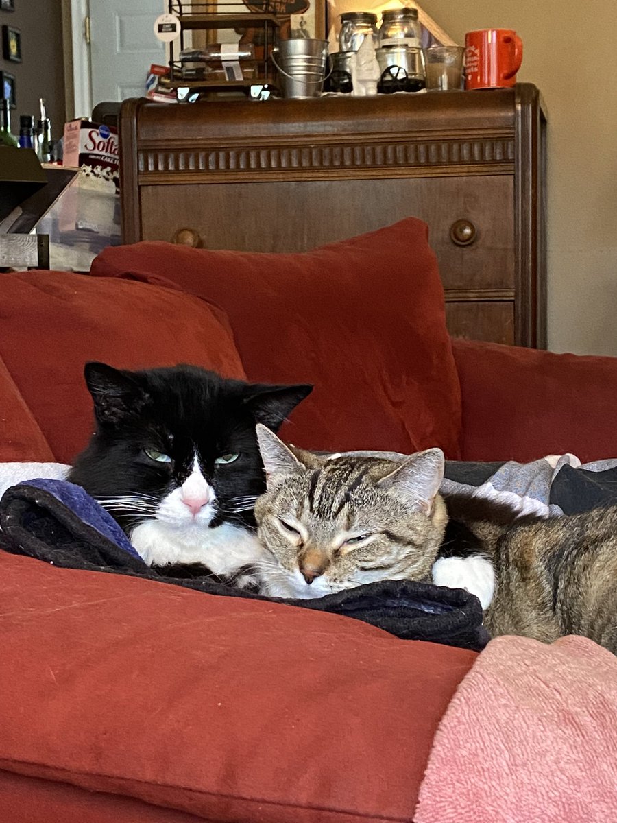 Pat Noren Enderson tweet media