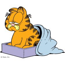 Javierjas4's tweet photo. Perdón Garfield, era muy joven para entenderte.

#garfield #lunes #sueño #arrancando https://t.co/D4acLVZ4s6