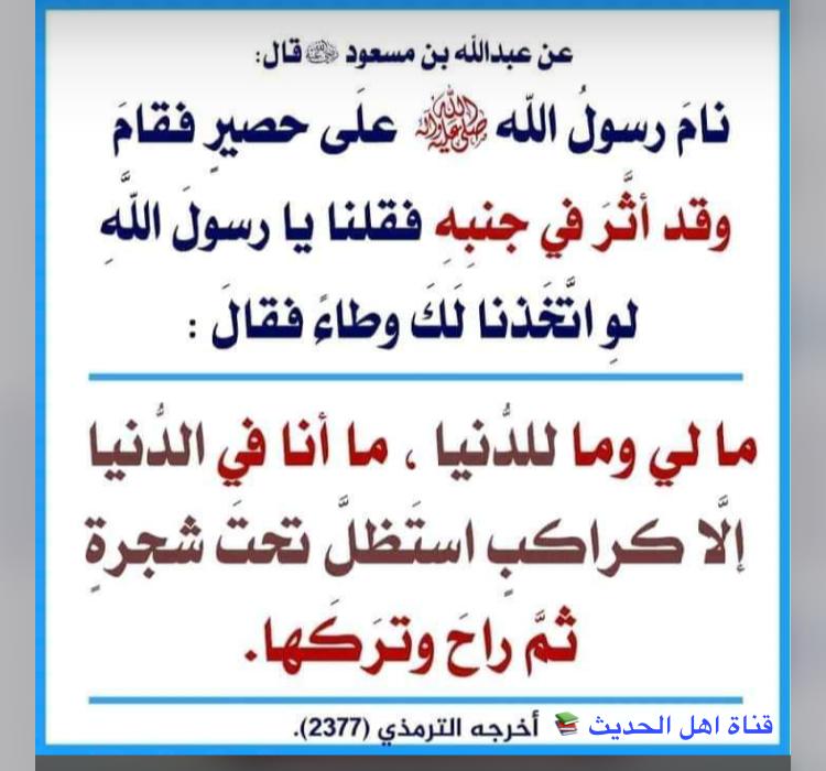 saideco tweet picture