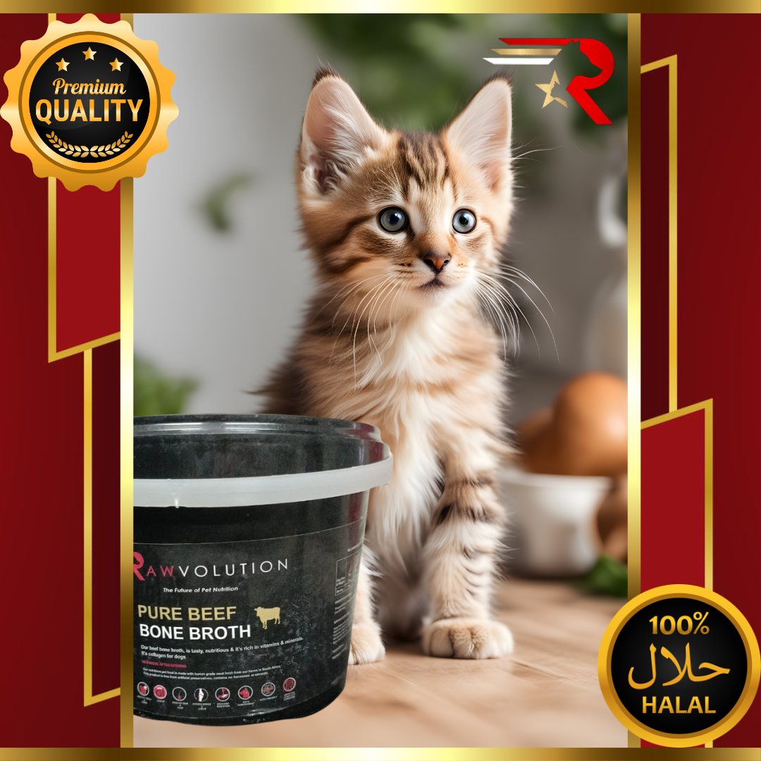 Rawvolution_ZA's tweet image. Pioneering Healthy Biologically Appropriate Pet Food

rawvolutionsandton.co.za

#Rawvolution #Raw #Cats #Dogs #Pethealth