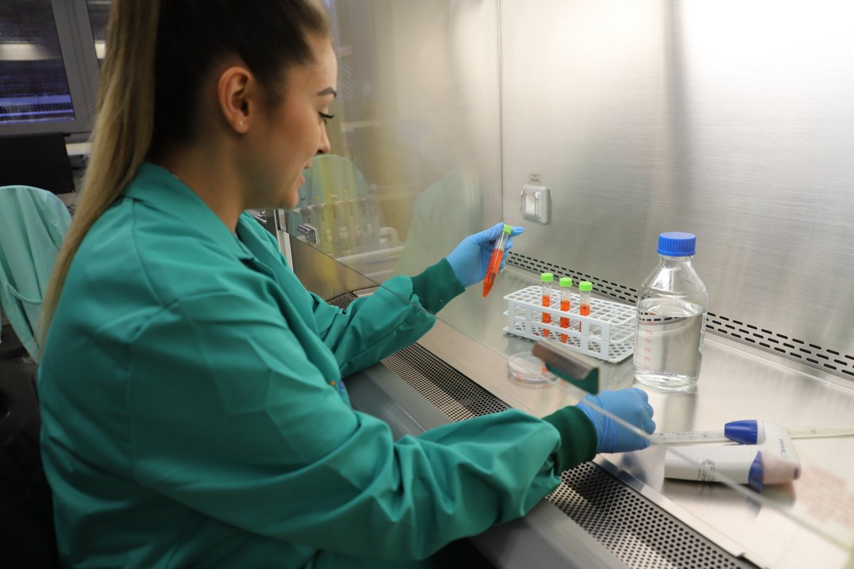 IGTP (@gtrecerca) on Twitter photo 🔵 Les plataformes centralitzen procediments i equipament, afavorint l'accés dels investigadors a tecnologia avançada
🔬 Donen servei als grups de recerca IGTP, del #CampusCanRuti i grups externs públics i privats
Descobreix-les: bit.ly/PLATAFORMES_IG…
Som <a href="/iCERCA/">Centres CERCA</a> #CERCAGINYS 🔵 Les plataformes centralitzen procediments i equipament, afavorint l'accés dels investigadors a tecnologia avançada
🔬 Donen servei als grups de recerca IGTP, del #CampusCanRuti i grups externs públics i privats
Descobreix-les: bit.ly/PLATAFORMES_IG…
Som <a href="/iCERCA/">Centres CERCA</a> #CERCAGINYS