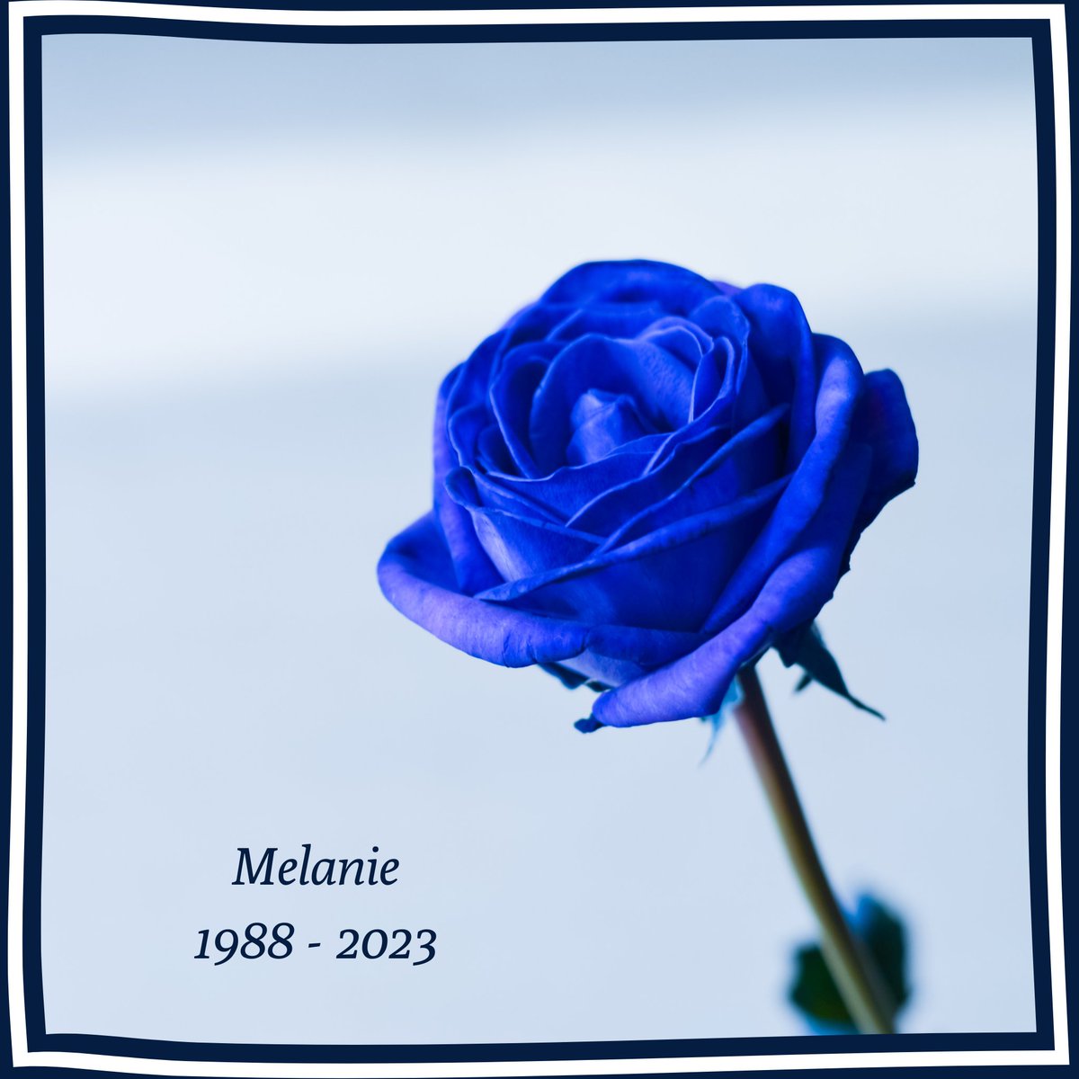 „In der Dunkelheit der Trauer leuchten die Sterne der Erinnerung.“

Meine liebe Melanie fand nun für immer ihren Frieden. 

Melli war zauberhaft, sie war unglaublich lieb, empathisch und eine wundervolle Freundin.

1/🕊