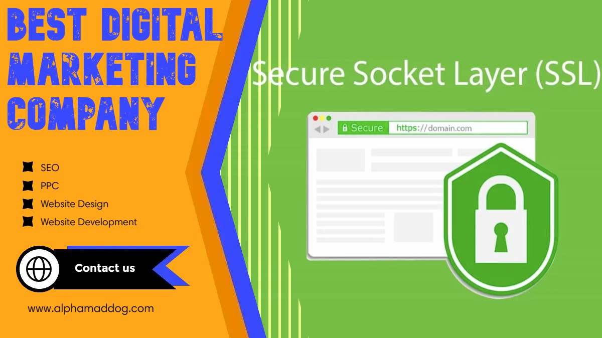 alpha_maddog's tweet photo. SSL encryption plays a crucial role in ensuring online security by protecting sensitive data, preventing data breaches, establishing trust with users, and safeguarding against phishing attacks.. https://t.co/KaY2DAq1WZ #SSL #https #securesocketlayer #DIgitalMarketing #SEO #PPC https://t.co/YmbUoquI7f
