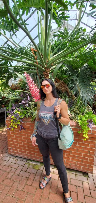 Pretty gardens. https://t.co/ASg8fMYmRu<a href="/tag/bg3"class="tags"><span>#bg3</span></a>