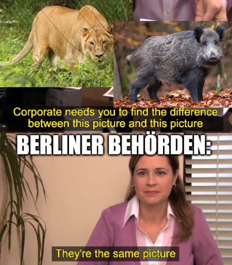 illuminox's tweet photo. @RespectfulMemes https://t.co/E5oR0fTHhJ