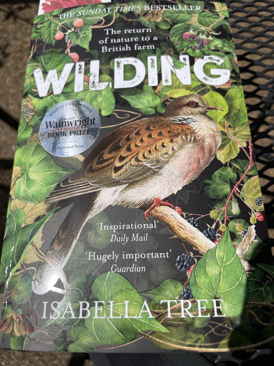 Just starting to read this 😎 #rewilding #nature ⁦@KneppWilding⁩ ⁦<a href="/isabella_tree/">Isabella Tree</a>⁩