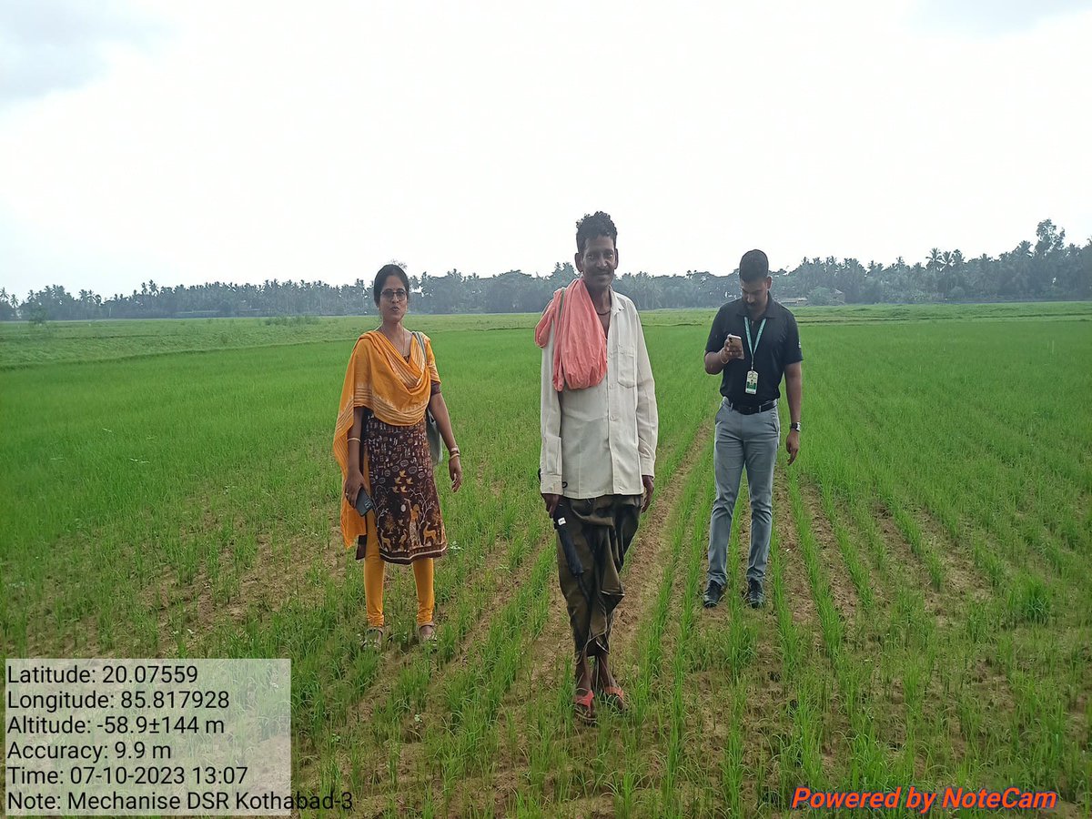 CDAO_Puri's tweet photo. @krushibibhag @arvindpadhee @rajaaswain 
#Mechanized_DSR Demonstration at different block of Puri District during the season Kharif- 2023. https://t.co/02aiyXYGpK