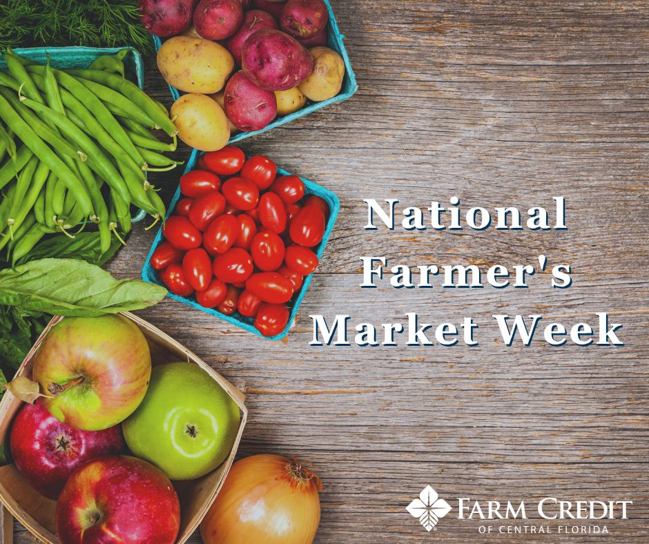 FarmCreditCFL's tweet photo. This week is National Farmer’s Market Week!

Florida is home to over 47,000 farms and ranches. Beef, strawberries, ornamental plants, and even timber are just a few of the safe and dependable products these farmers provide.

 Support the farmers in your community! https://t.co/72fG3hoL1b