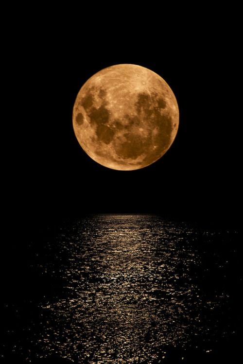 Chelsea. tweet media