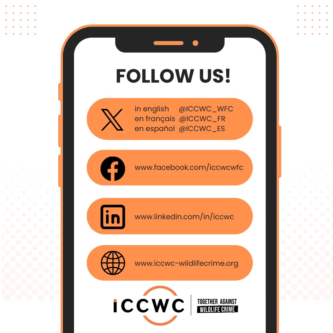 Follow our channels to keep updated with the work of #ICCWC! English ➡️@ICCWC_WFC French ➡️@ICCWC_FR Spanish ➡️@ICCWC_ES Facebook➡️ facebook.com/iccwcwfc LinkedIn ➡️ linkedin.com/company/iccwc See more 🌐 iccwc-wildlifecrime.org #TogetherAgainstWildlifeCrime