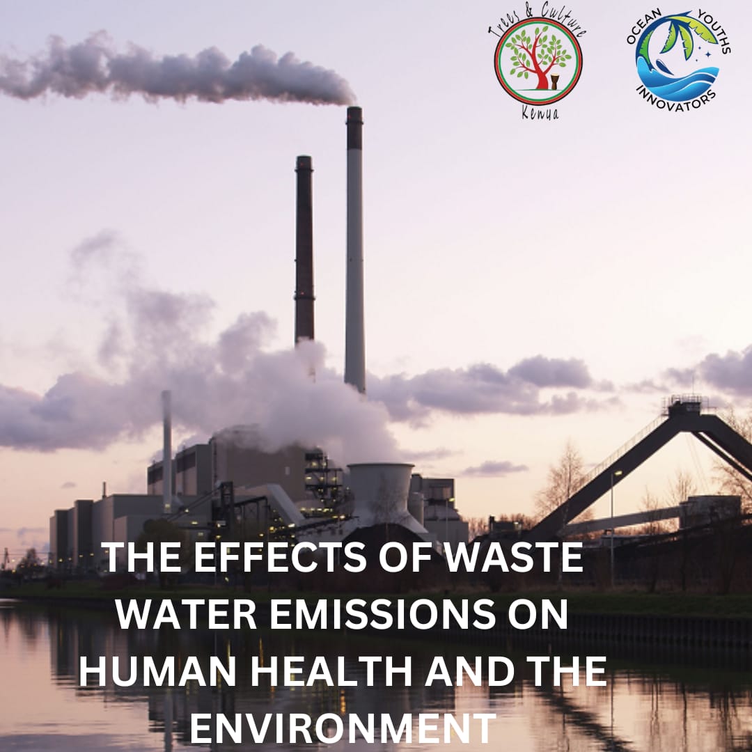oceanyouthorg's tweet photo. Top of the afternoon world! We decided to keep you guys engaged on some the effects of sewage emission on human health. Thread>>>

You can help avert some effects on  Sewage's community today by purchasing a ticket (tree) in #Nairobirun4climate here: https://t.co/9o26mcyk4r https://t.co/S33iWn6HI7