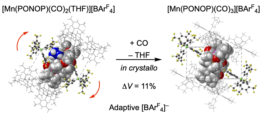 Andrew Weller (@welleryorkchem) on Twitter photo Adaptive crystalline lattices in solid-state organometallic chemistry. Read <a href="/JC_Goodall/">Joe Goodall</a>'s just published <a href="/ChemCommun/">Chemical Communications</a>, in collaboration with
@MacgregorHWU, <a href="/LynamChemistry/">Jason Lynam</a> & <a href="/huwtjenkins/">Huw Jenkins</a>: In crystallo synthesis, microED, non-covalent interactions & more....pubs.rsc.org/en/content/art⦠Adaptive crystalline lattices in solid-state organometallic chemistry. Read <a href="/JC_Goodall/">Joe Goodall</a>'s just published <a href="/ChemCommun/">Chemical Communications</a>, in collaboration with
@MacgregorHWU, <a href="/LynamChemistry/">Jason Lynam</a> & <a href="/huwtjenkins/">Huw Jenkins</a>: In crystallo synthesis, microED, non-covalent interactions & more....pubs.rsc.org/en/content/artā¦