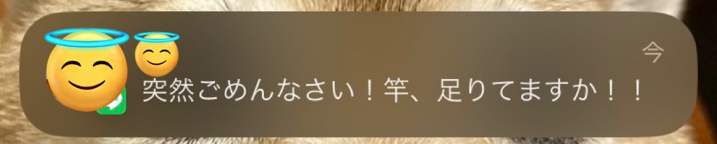 maayashibata's tweet photo. https://t.co/vPfSFx7PaA