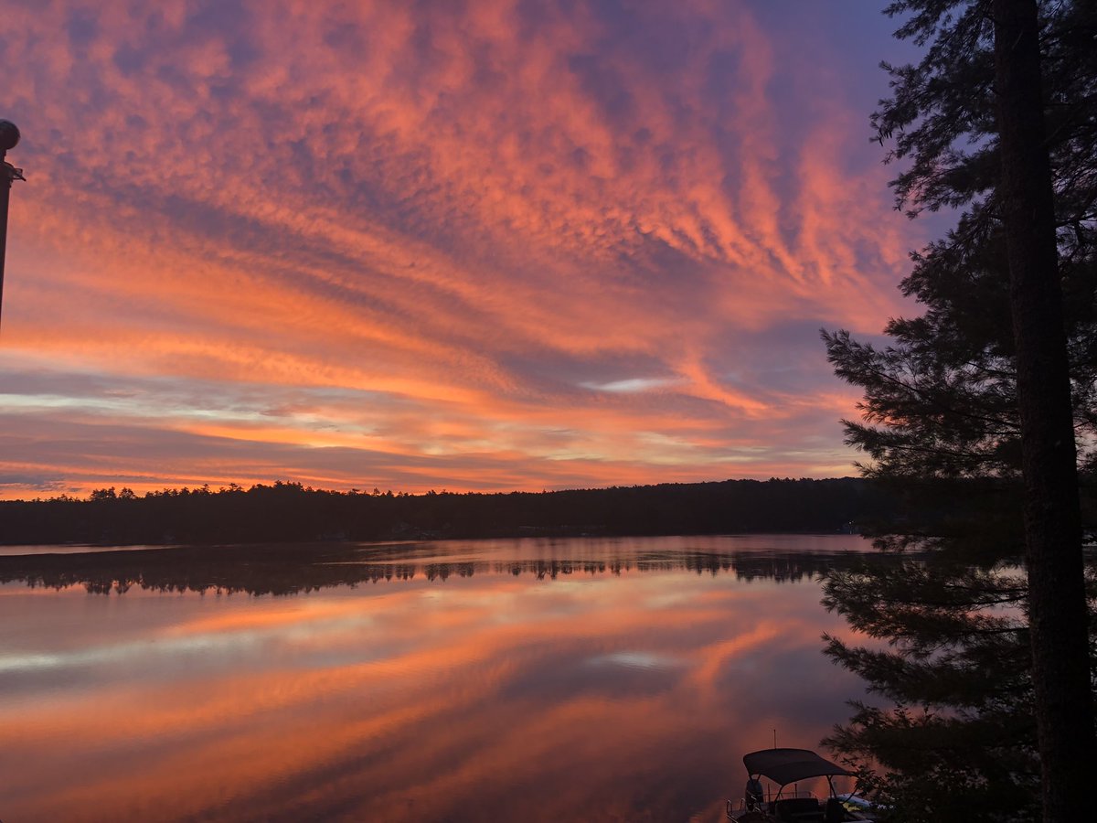 Eric Fournier tweet media