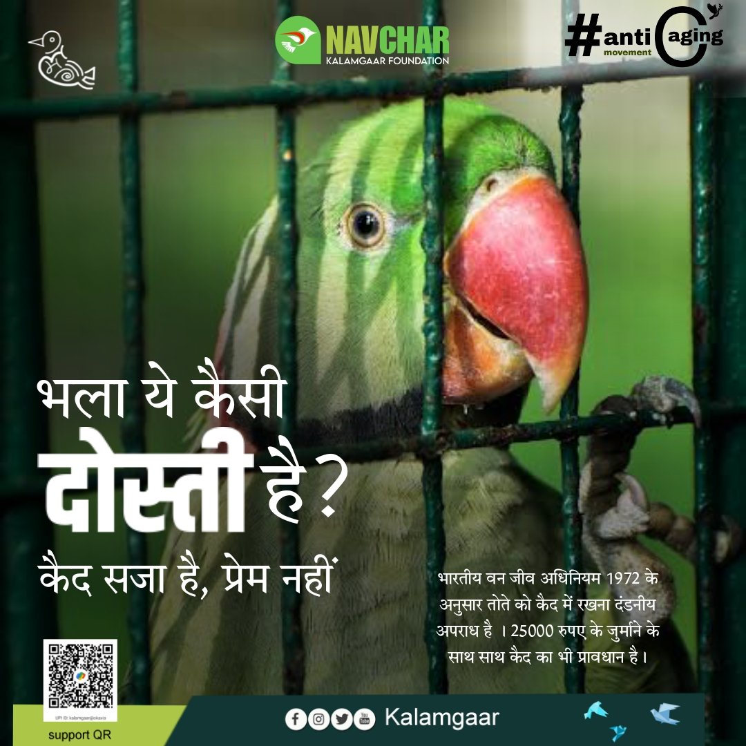 kalamgaar's tweet photo. बताइए ..

#kalamgaarfoundation #kalamgaar #birds #environment #Trending #nature #friends #anticagingmovement #parrots https://t.co/71TDO1fCZL