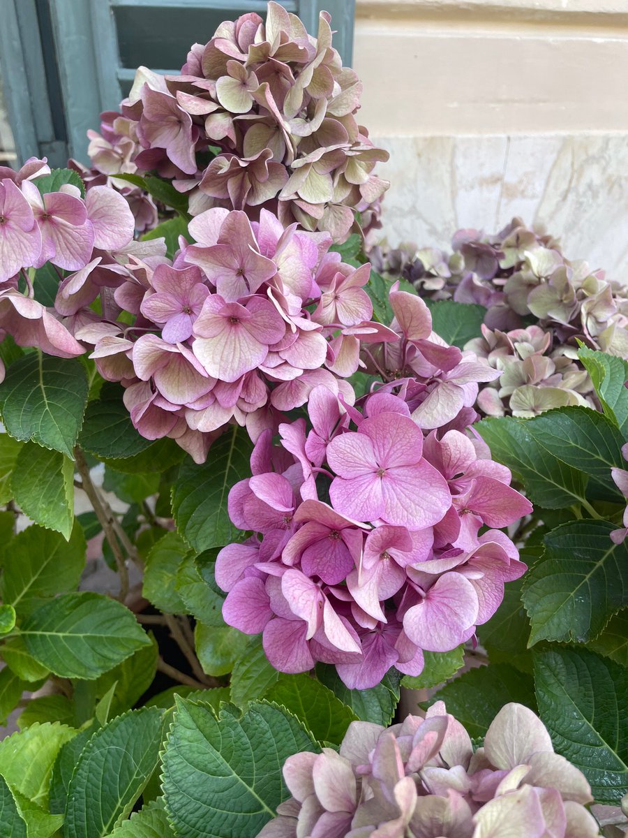 Ricominciare a twittare, da qualche parte.