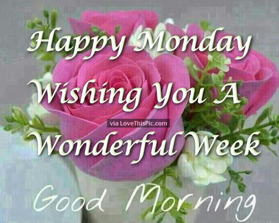 WILL MA tweet media