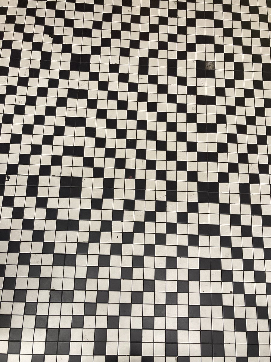 Julia Strand (@juliafstrand) on Twitter photo Eeeek the floor at MSP airport is giving some powerful illusion of curve 😵💫 <a href="/DrGBuckingham/">Gavin Buckingham</a> Eeeek the floor at MSP airport is giving some powerful illusion of curve 😵💫 <a href="/DrGBuckingham/">Gavin Buckingham</a>