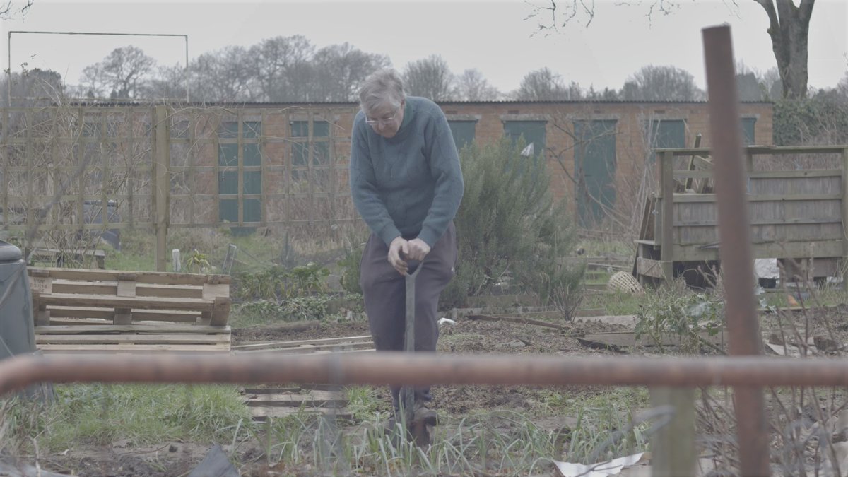 Eluned Morgan tweet media