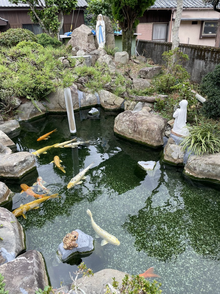 same0928's tweet image. 今年の天草帰省は台風の為、釣りの時間が取れませんでした😇
また来年はいい天気である事を願う😊