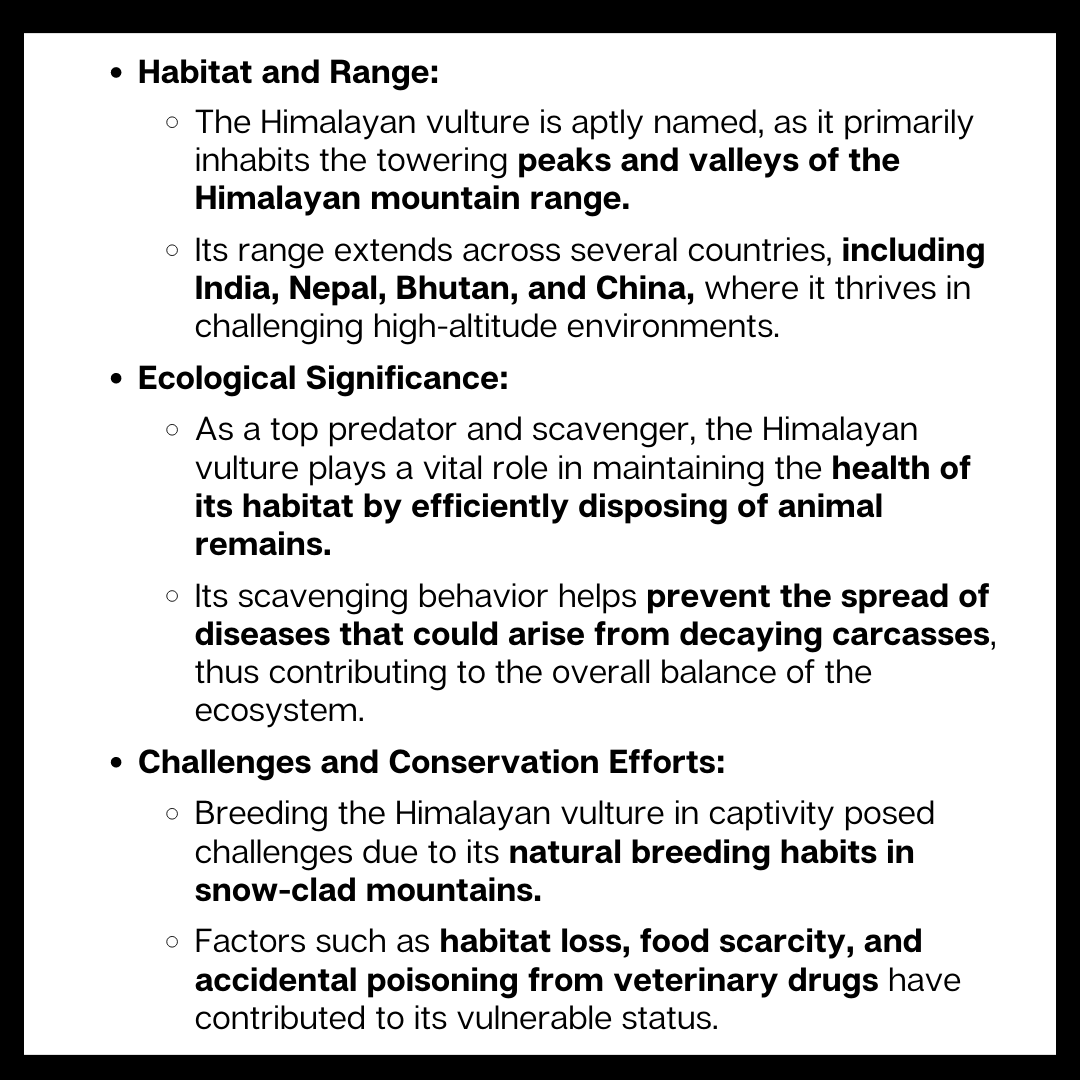 drishtiiaseng's tweet photo. Here is one of the important current affairs. We urge you to prepare from the website if you are appearing for UPSC 2023.

Read More: https://t.co/00w9KS8V0d

#GypsHimalayensis #Gyps #Vulture #IUCN #NSAIDS #CurrentAffairsToday #UPSCNews #UPSC #IAS #DrishtiIASEnglish #DrishtiIAS https://t.co/OCUKVVfLmb