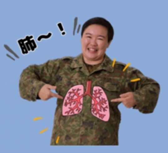 8日の出演番組 ⭐#ZIP #めざましテレビ #ノンストップ #おはよん