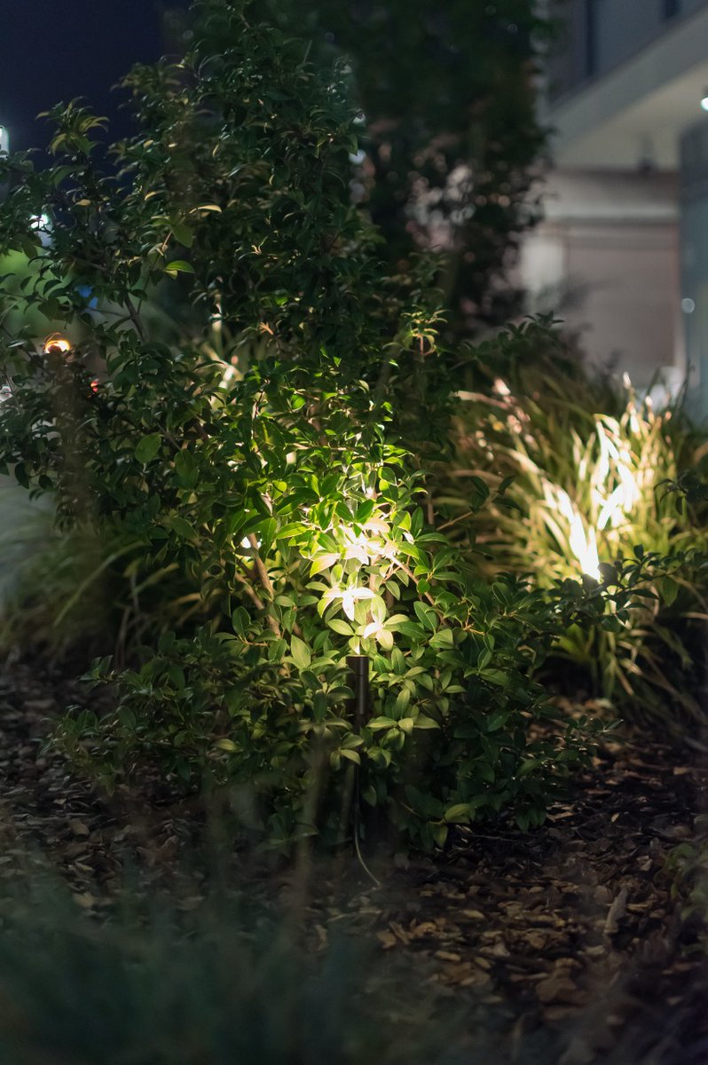 B_Light_Ita's tweet photo. Summer is the season of outdoor spaces, so why not light them up? 🔆  Introducing MINI FIREFLY, an easy to install garden projector 🌳  with honeycomb for visual comfort and optional half snoot. #gardenlighting #outdoorlighting #outdoor #garden #plantlighting https://t.co/P82Wqf3nmF