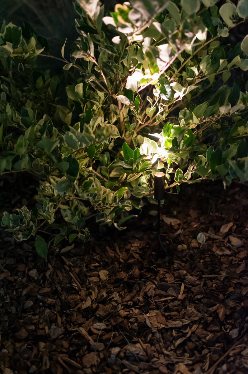 B_Light_Ita's tweet photo. Summer is the season of outdoor spaces, so why not light them up? 🔆  Introducing MINI FIREFLY, an easy to install garden projector 🌳  with honeycomb for visual comfort and optional half snoot. #gardenlighting #outdoorlighting #outdoor #garden #plantlighting https://t.co/P82Wqf3nmF
