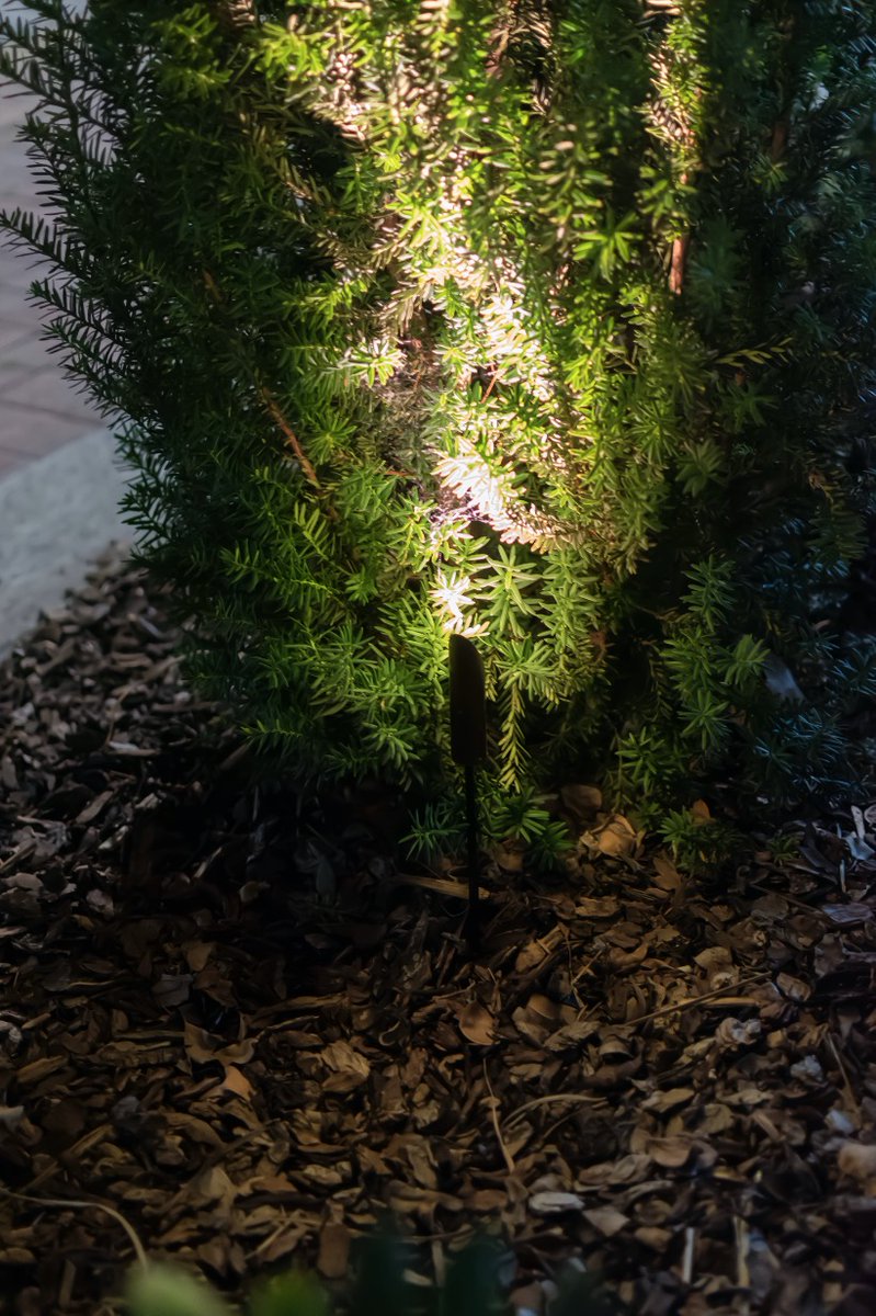 B_Light_Ita's tweet photo. Summer is the season of outdoor spaces, so why not light them up? 🔆  Introducing MINI FIREFLY, an easy to install garden projector 🌳  with honeycomb for visual comfort and optional half snoot. #gardenlighting #outdoorlighting #outdoor #garden #plantlighting https://t.co/P82Wqf3nmF