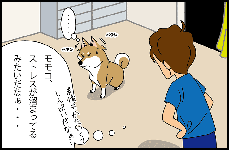 dogpad_jp's tweet photo. 【連載更新】けんた先生と柴犬モモコのほのぼの漫画。「ストレス時の犬の行動」
https://t.co/DNI9vLmH5Q https://t.co/SEEI8iJrRt